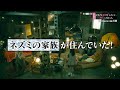 【公式】水ドラ25『それでも結婚したいと、ヤツらが言った。』60秒トレーラー | テレビ東京