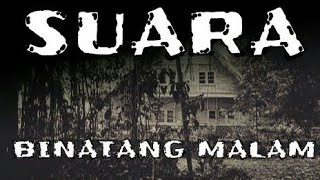 SUARA SERAM BINATANG MALAM