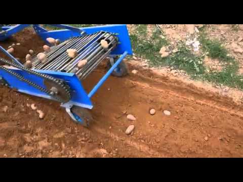 Video: Excavadora De Patatas De Bricolaje Para Un Tractor De Empuje: Las Dimensiones De Una Excavadora De Patatas Casera. ¿Cómo Hacer Una Excavadora De Patatas Con Cinta Transportadora Se