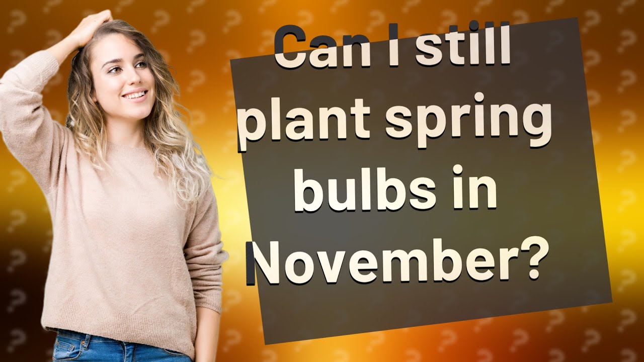 Can I still plant spring bulbs in November? YouTube