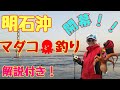 開幕！明石沖タコ釣り　解説あり