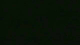 The Florida Bigfoot Howl Recorded At Night