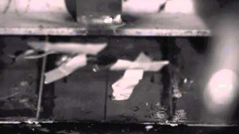 2009 Cohort DBT Test