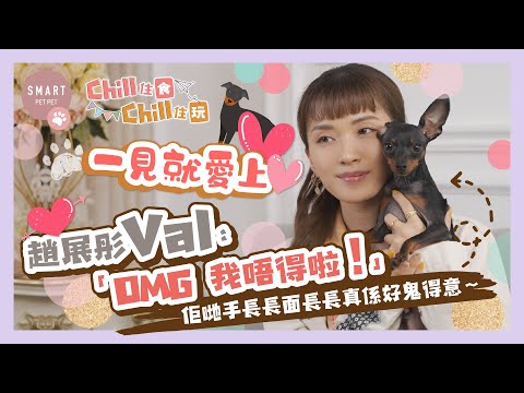 【 寵物星訪 |Pet 奴騷】一見就愛上 @VAL 趙展彤:「OMG 我唔得啦!」佢哋手長長面長長真係好鬼得意 【 寵物星訪 |Pet 奴騷】一見就愛上 @VAL 趙展彤:「OMG 我唔得啦!」佢哋手長長面長長真係好鬼得意