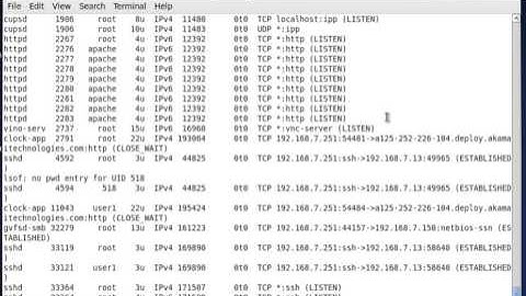 To Find Out what files are open by which process in linux