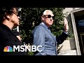 Prosecutor Testifies 'Roger Stone Was Treated Differently' Because Of Trump Ties | MSNBC