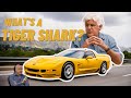 Jay Leno&#39;s 2002 Corvette Z06 Tiger Shark