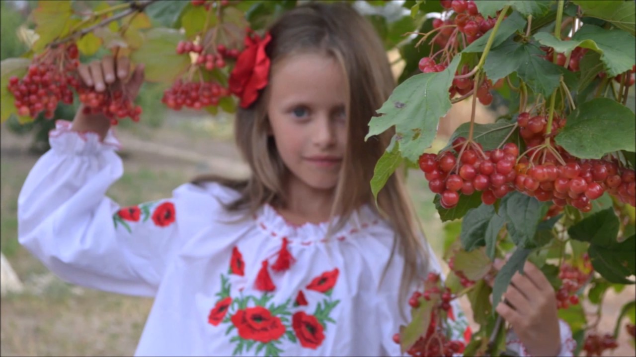 Цвіте калина біля джерела Цвіте калина біля джерела