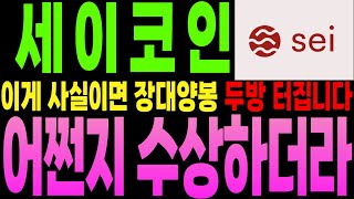 [세이 코인 전망]이번 주 &quot;X요일&quot; 이거 발표 나오면 &quot;크게 갑니다&quot;  대응은  &quot;이렇게&quot; 하세요...더 보기