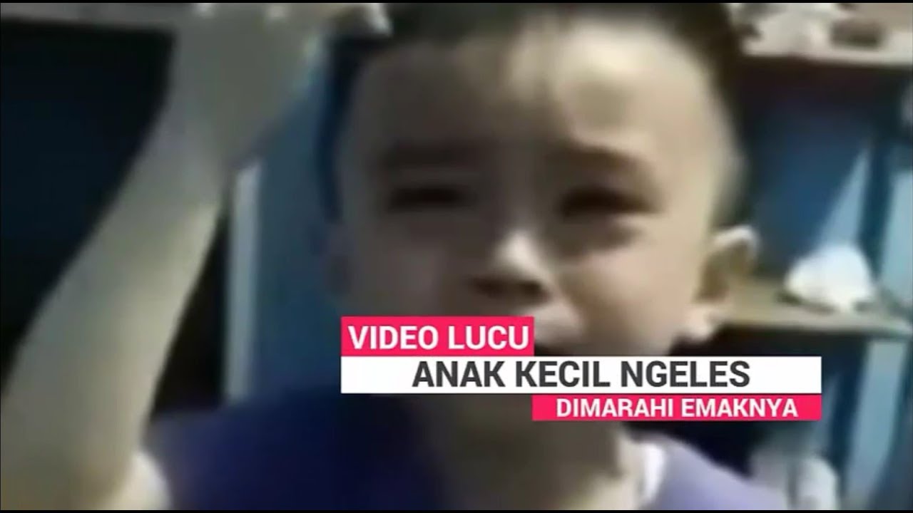 Video Lucu Anak Kecil Ngeles Dimarahi Emaknya Bayi Lucu Adrian