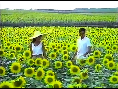 【名古屋・中京ローカルCM】  やすいかぐ（1991年）