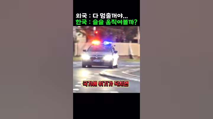 중국이 막고 일본이 믿지 않던 그때, 조용히 나라를 구한 한국 시민 레전드 실화