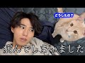 保護した猫の様子がおかしいと思ったらまさかのご主人様を元気づけようとしてくれてました