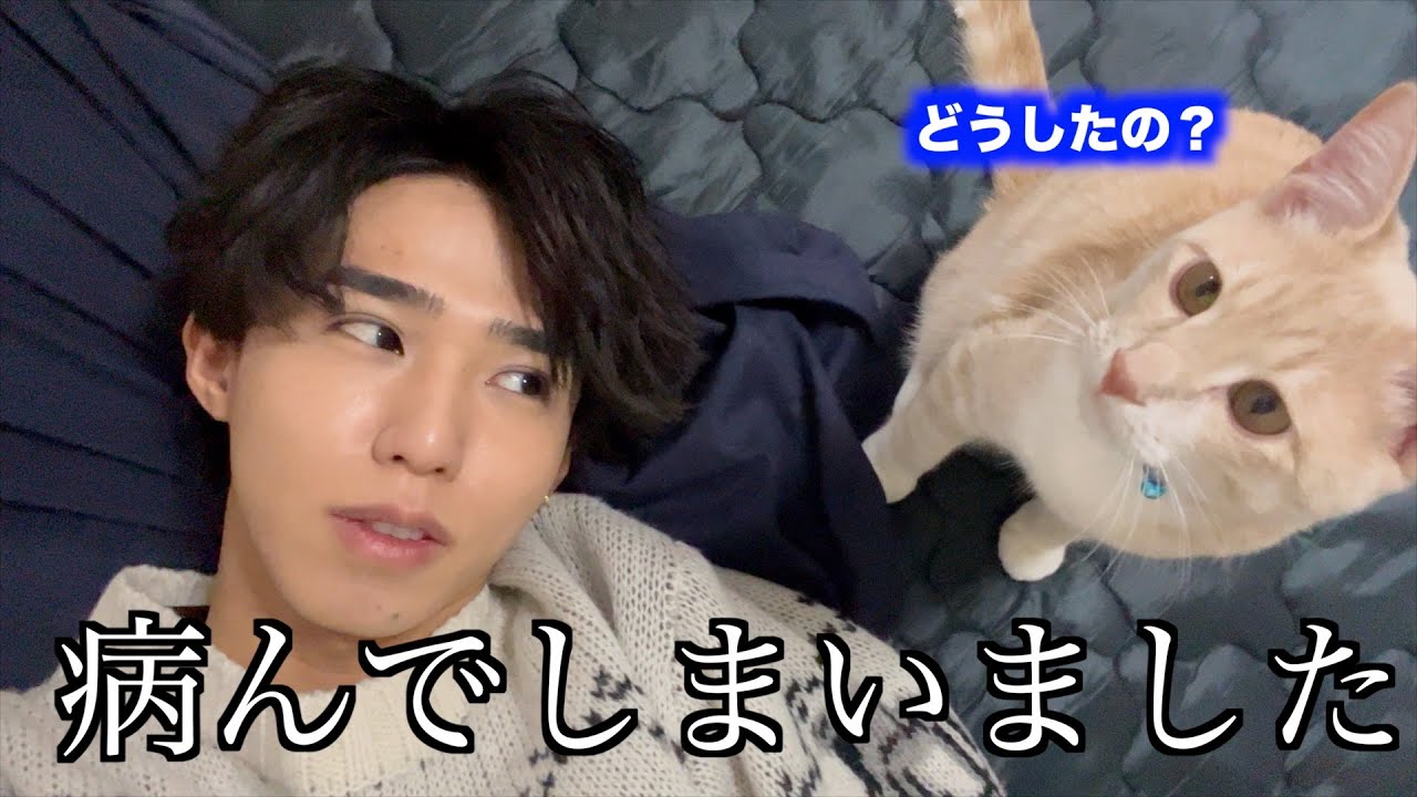 保護した猫の様子がおかしいと思ったらまさかのご主人様を元気づけようとしてくれてました