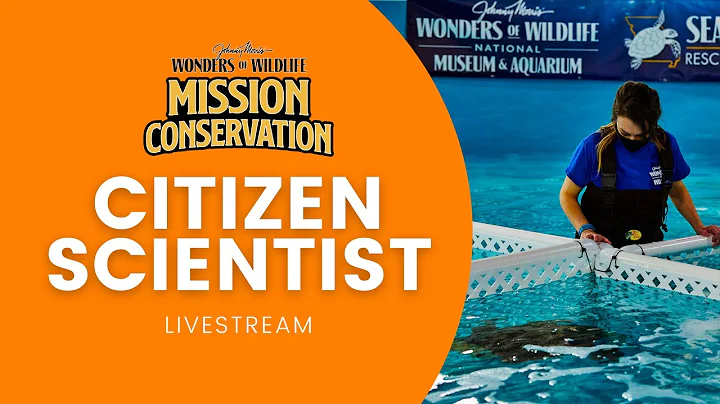 Mission Conservation: Citizen Science