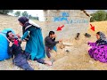 Tradition Resilience Life Among The Nomads Tradition Resilience Life Among The Nomads