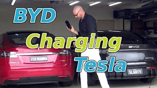 BYD Charging Tesla - Fail