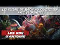 Les fleurs de Bach au quotidien - Les RDV d'Antoine &amp; Florinette #32