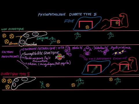 Diabète de type II - Pathophysioplogie - Docteur Synapse