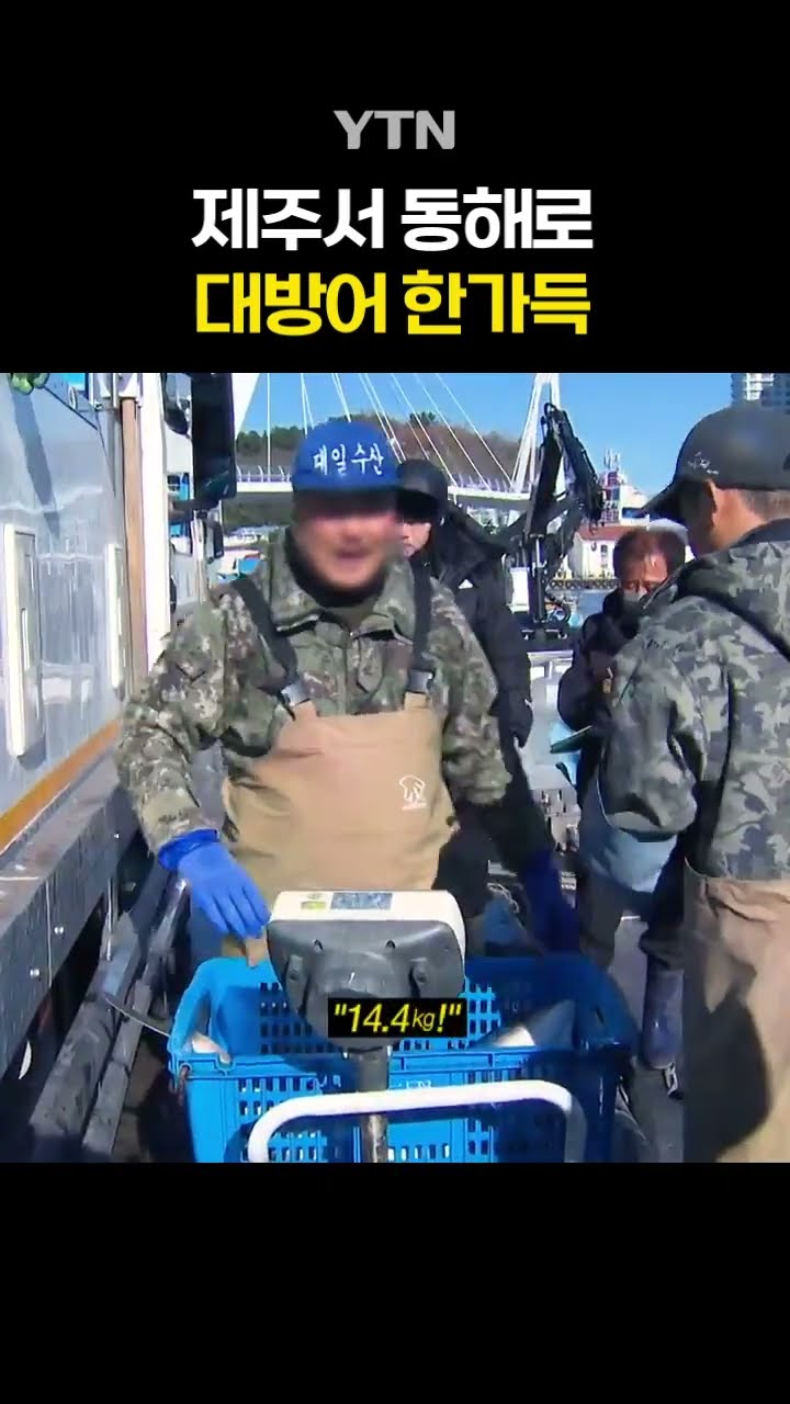 방어 : 저희 이사했어요 #shorts / YTN