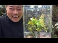 コレクションボックスを使った管理方法について解説‼️