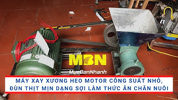 Máy xay xương heo motor công suất nhỏ, đùn thịt mịn dạng sợi làm thức ăn chăn nuôi | MuaBanNhanh