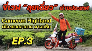 ขี่เวฟลุยเดี่ยวในต่างแดน EP.3 สู่ขุนเขาแห่ง Cameron Highland