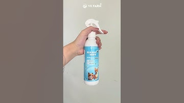 BÍ QUYẾT KHỬ MÙI HÔI TOÀN DIỆN CHO THÚ CƯNG