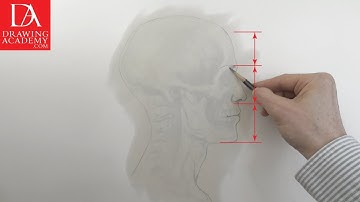 Anatomy in Art presented by Drawing Academy .com 13-3