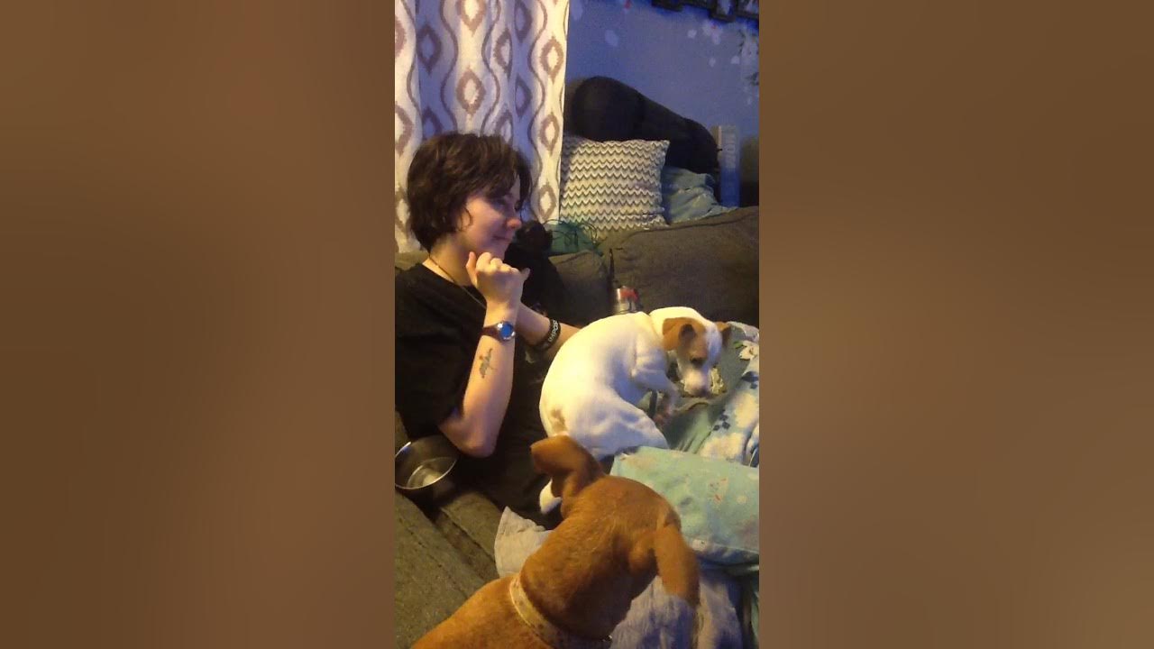 Seizing Muscle Things Sept 22 10 30 pm YouTube