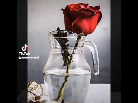 اغنية الفنانة نانسى عجرم كلمات الاغنية ياي سحر عيونه ونظراتة اعملو الاكسبلوور تعليق فلو