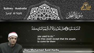 سورة النحل مرتلة كاملة