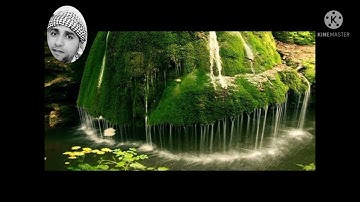 سورة إبراهيم القارئ تامر الغندور أبو عمار
