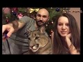 Пума Месси История нашего знакомства. Cougar Messi The story of our acquaintance.