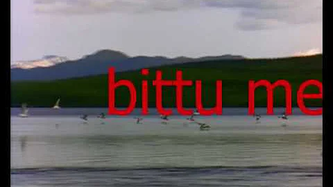 bittu and billa