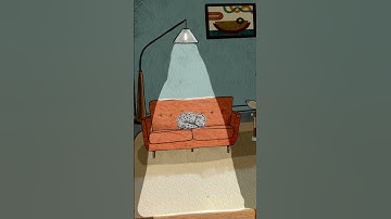 A cute cat in the shadows #procreate #animation