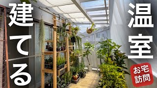 【温室DIY】植物が大量過ぎて家の外に建設...【植物愛好家訪問】