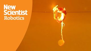 Watch a Möbius strip robot move and climb when hit by light screenshot 5