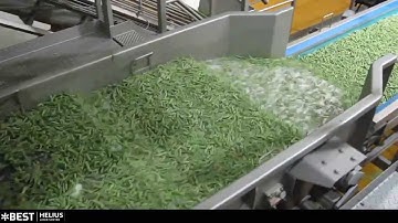Cut green bean sorting machine Helius - TOMRA Sorting