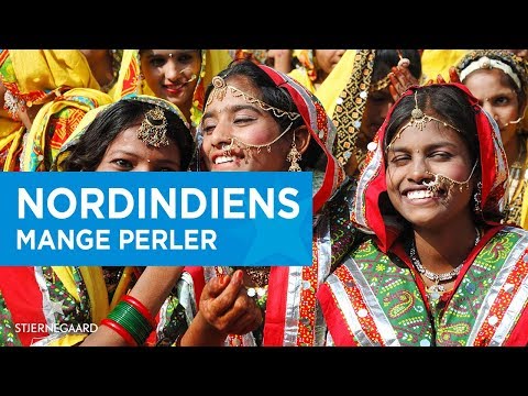 Video: De Rejser Fra Indien Til USA For At Straffe Deres Sønns Kone