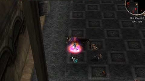 Metin2tim crina lvl up to 99