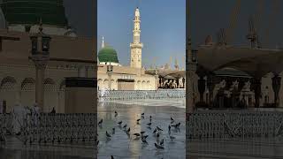 Qalbi Fil Madinah 🥰🥀🤲