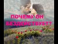 ПОЧЕМУ ОН ТРУСИТ И БЕЗДЕЙСТВУЕТ. А, ЧТО ПРЕДПРИМЕТ НА САМОМ ДЕЛЕ? КАК ВСЕ СЛОЖИТСЯ? гадание на воске