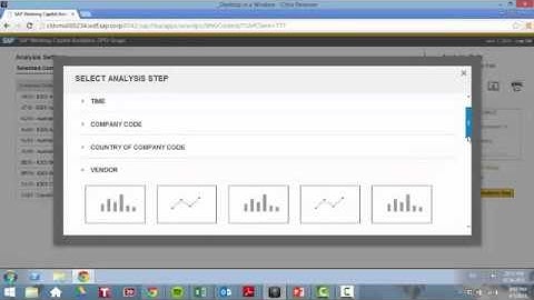SAP Working Capital Analytics