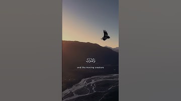 سبحان الله بحمده ، سبحان الله العظيم #ياسر_الدوسري #تلاوة_خاشعة #قران
