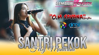 SANTRI PEKOK - FEBY MAHARANI OM SAVANA Sak Jose - LEMBUR BERSATU - DMS digital audio