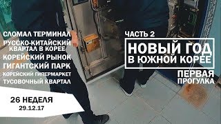 26/2. НОВЫЙ ГОД В КОРЕЕ. Первая прогулка. Сломал терминал. TEXAS STREET. Central парк. Гипермаркет