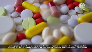 What is antimicrobial resistance (AMR)?