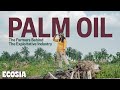 Why boycotting palm oil is not a solution