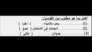 تدريبات درس المفرد والمثنى والجمع #المرحلة_الإبتدائية                                  التواصل واتس